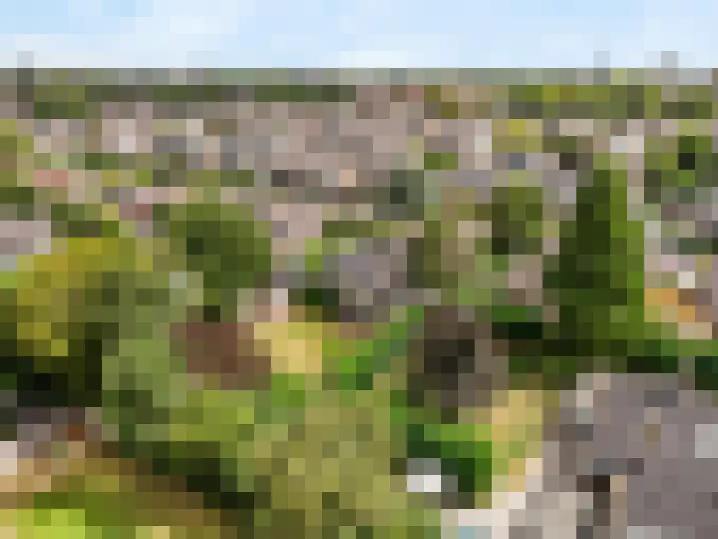 Wijnant Nuijenstraat 20 Woerden thumbnail 51