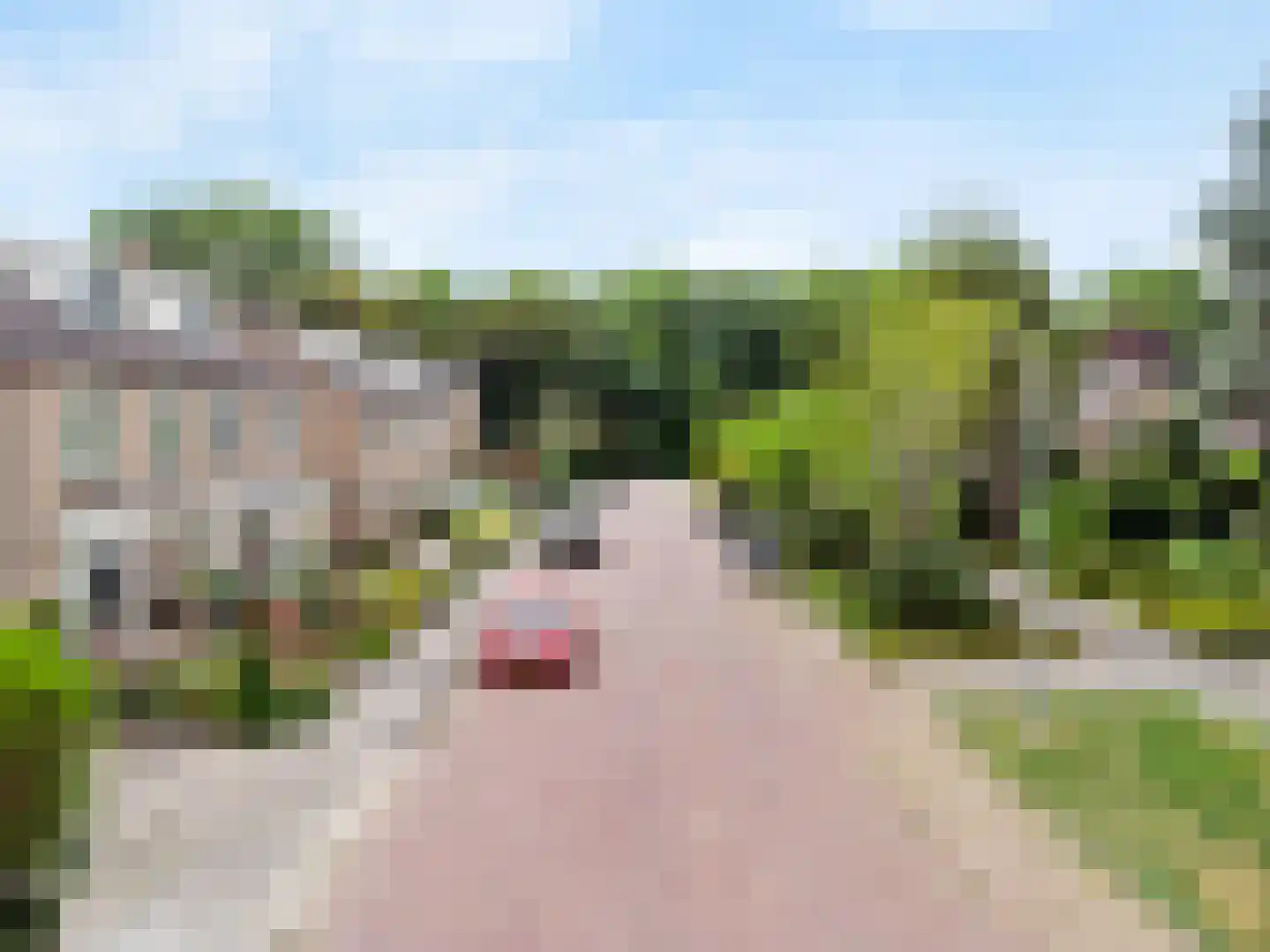 Wijnant Nuijenstraat 20 Woerden thumbnail 52