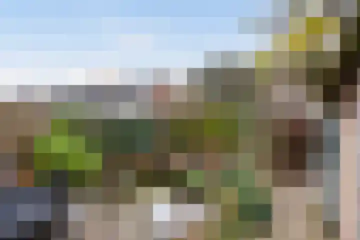 Wijnant Nuijenstraat 23 Woerden thumbnail 31