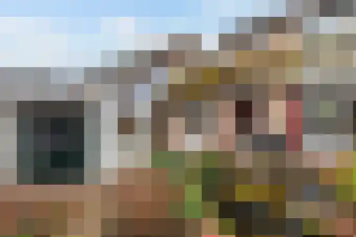 Wijnant Nuijenstraat 23 Woerden thumbnail 33