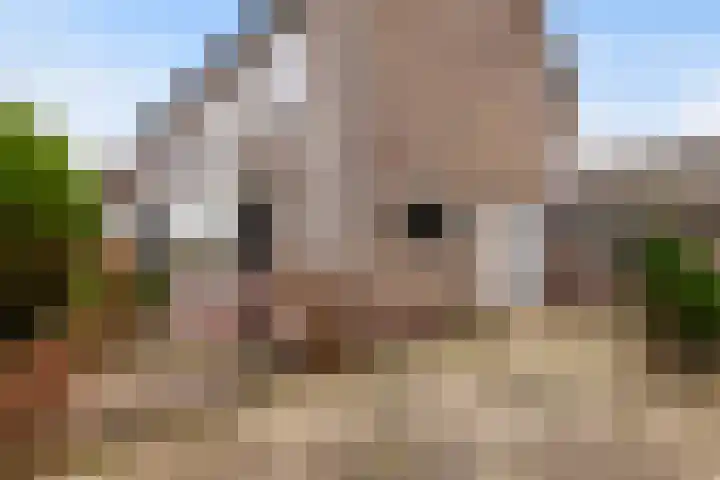 Wijnant Nuijenstraat 23 Woerden thumbnail 4