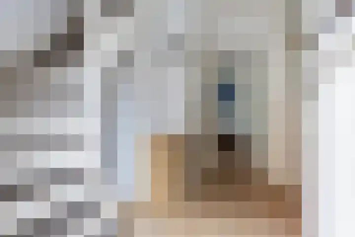 Wijnant Nuijenstraat 23 Woerden thumbnail 5