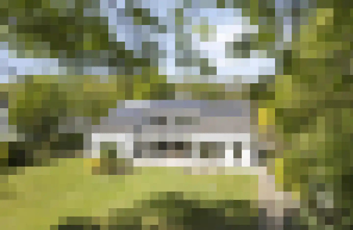 Wijnantslaan 10 Arriën foto 2
