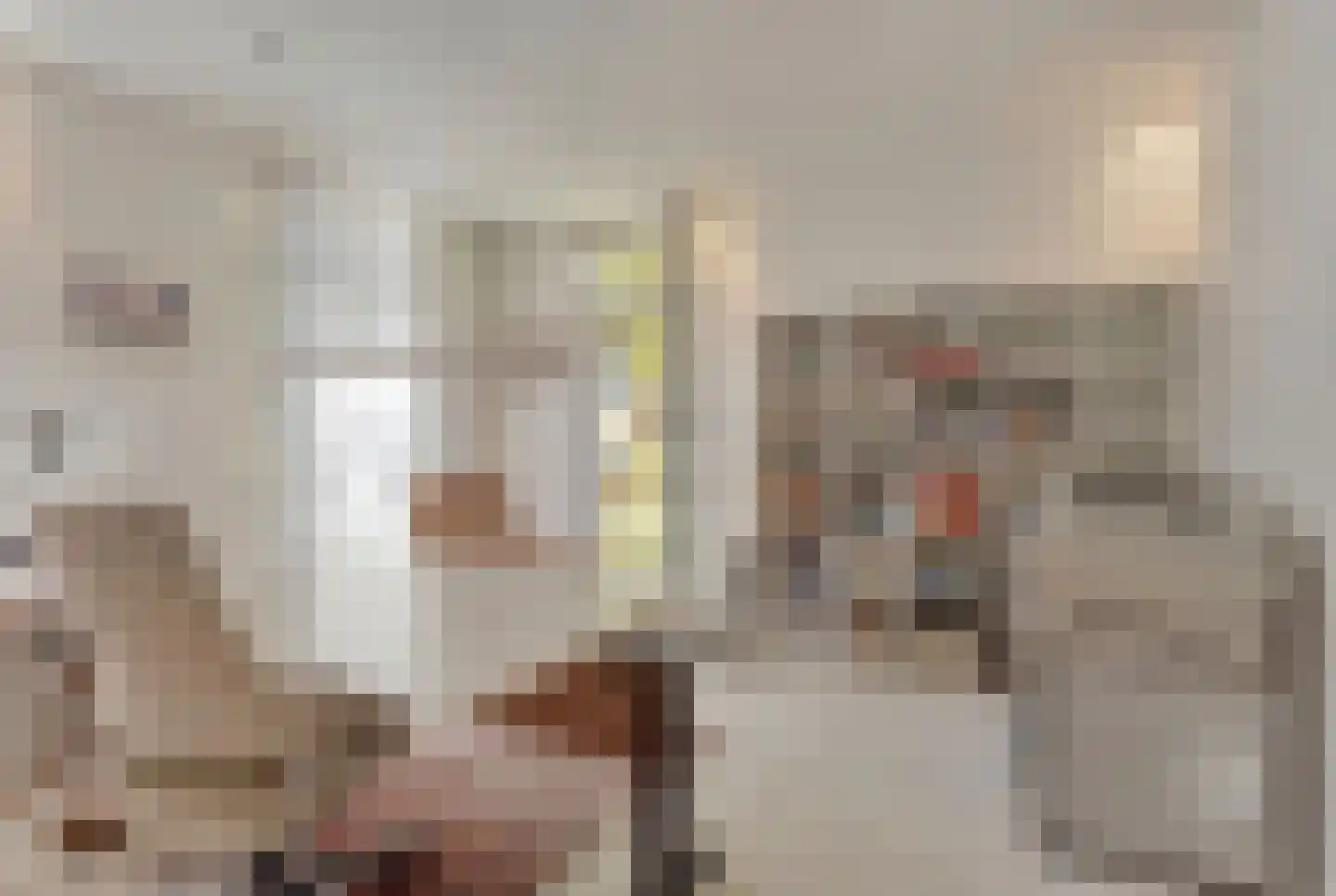 Wijnantslaan 10 Arriën thumbnail 28