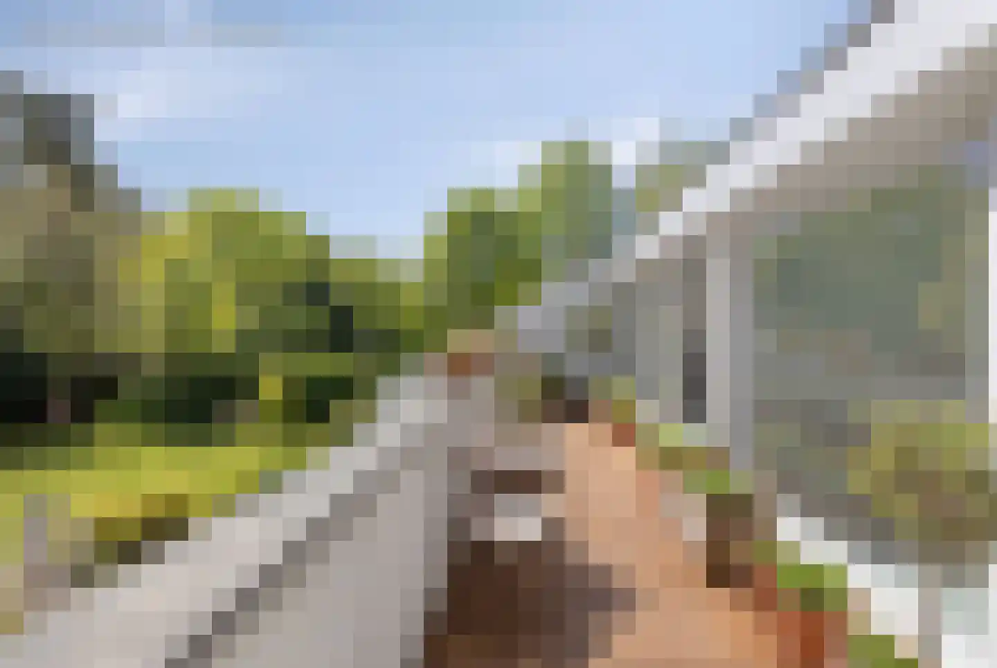 Wijnantslaan 10 Arriën thumbnail 41