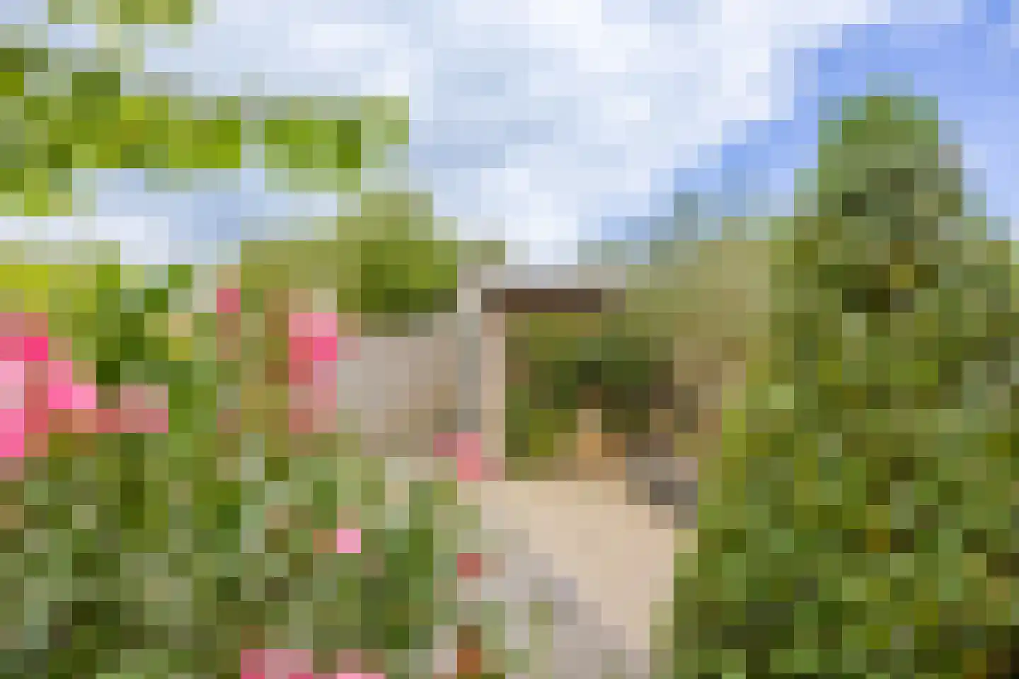 Wijnappelhoef 2 Eethen thumbnail 12