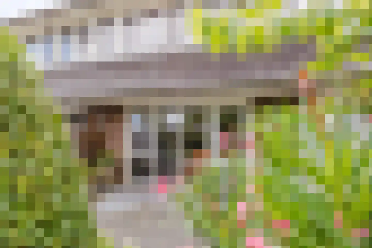 Wijnappelhoef 2 Eethen thumbnail 15