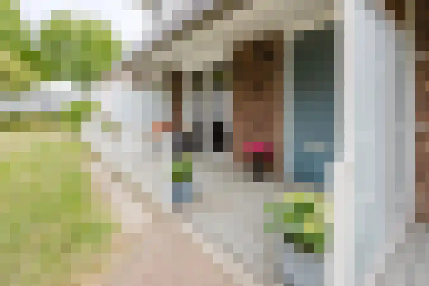 Wijnappelhoef 2 Eethen thumbnail 26