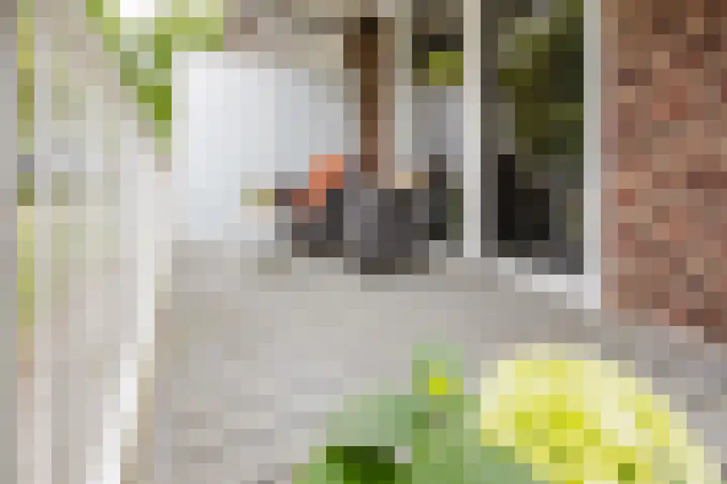 Wijnappelhoef 2 Eethen thumbnail 27