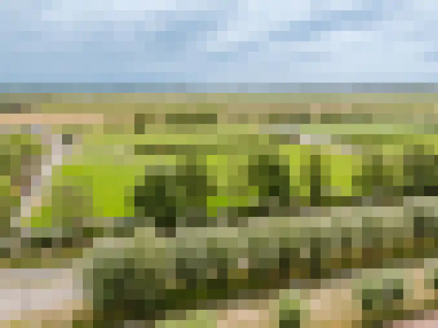 Wijnappelhoef 2 Eethen thumbnail 31
