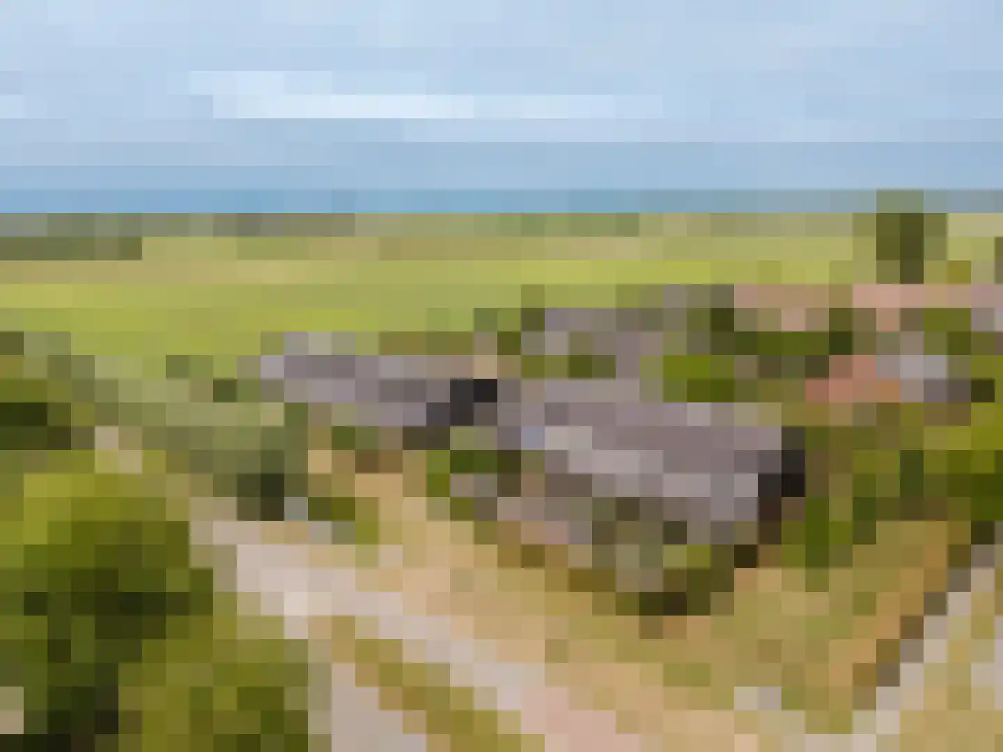 Wijnappelhoef 2 Eethen thumbnail 4