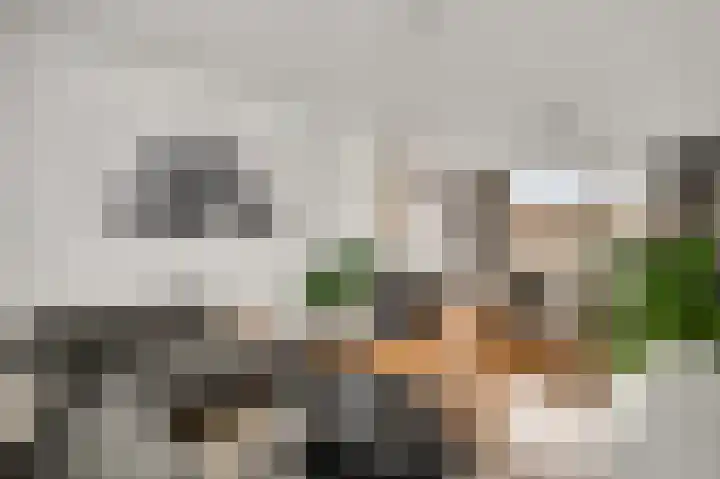 Wijnbeekstraat 5 Neer thumbnail 10