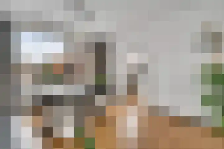 Wijnbeekstraat 5 Neer thumbnail 11