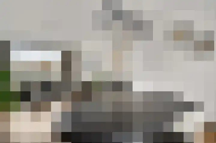 Wijnbeekstraat 5 Neer thumbnail 12