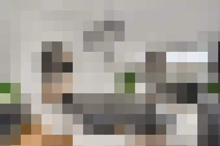 Wijnbeekstraat 5 Neer thumbnail 13