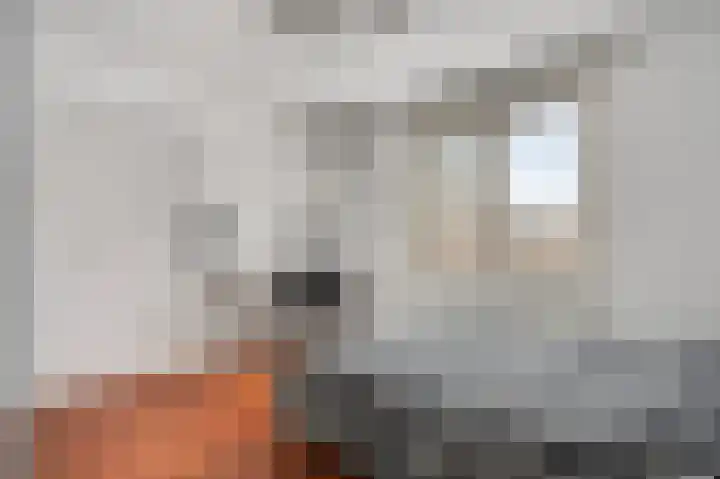 Wijnbeekstraat 5 Neer thumbnail 19