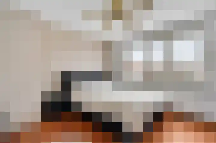Wijnbeekstraat 5 Neer thumbnail 20