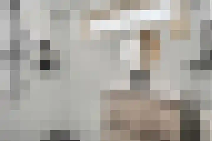 Wijnbeekstraat 5 Neer thumbnail 23