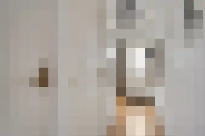 Wijnbeekstraat 5 Neer thumbnail 5