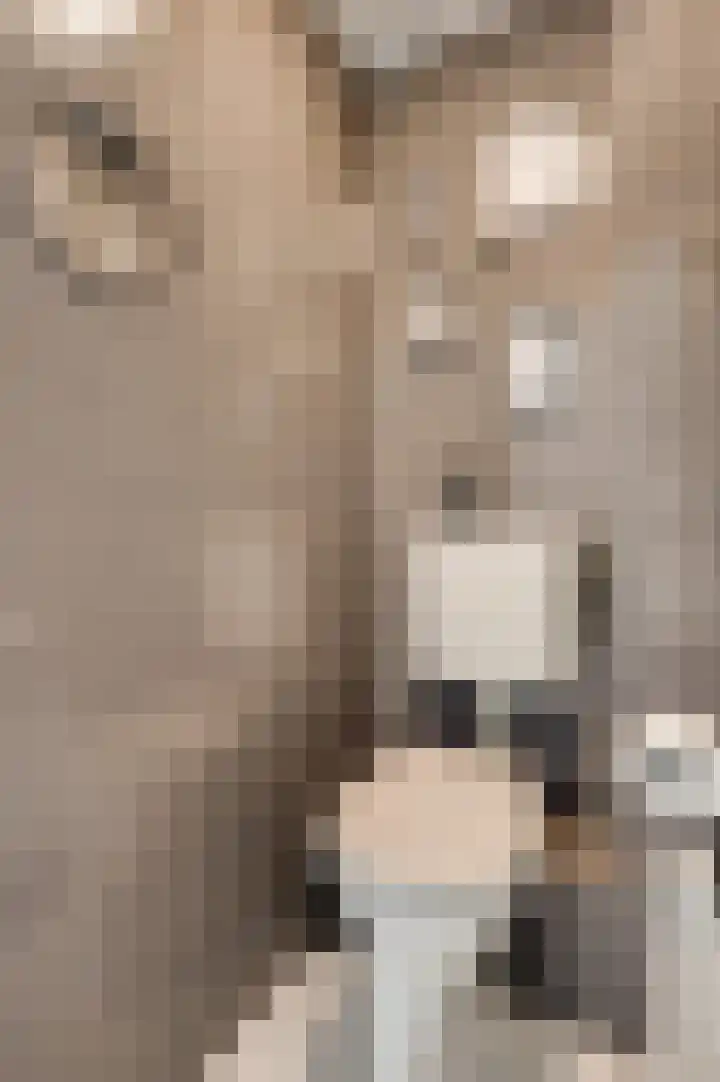 Wijnbeekstraat 5 Neer thumbnail 7