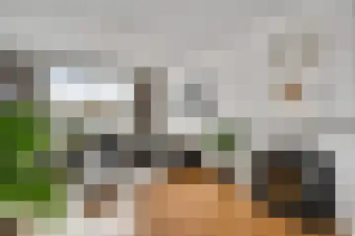 Wijnbeekstraat 5 Neer thumbnail 8