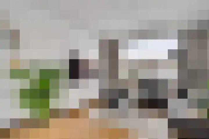 Wijnbeekstraat 5 Neer thumbnail 9