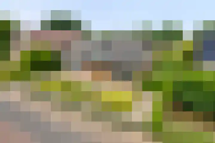 Wijnberg 20 Zoetermeer thumbnail 15