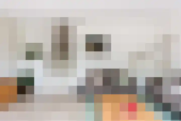 Wijnberg 20 Zoetermeer thumbnail 19