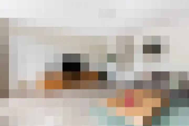 Wijnberg 20 Zoetermeer thumbnail 20