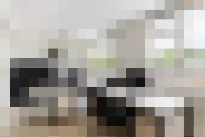 Wijnberg 20 Zoetermeer thumbnail 34