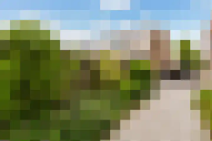 Wijnberg 20 Zoetermeer thumbnail 40