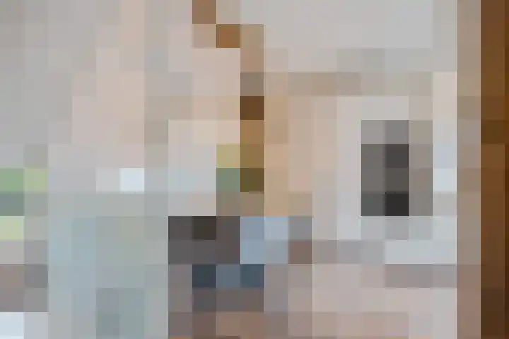 Wijnberg 25 Zoetermeer thumbnail 12