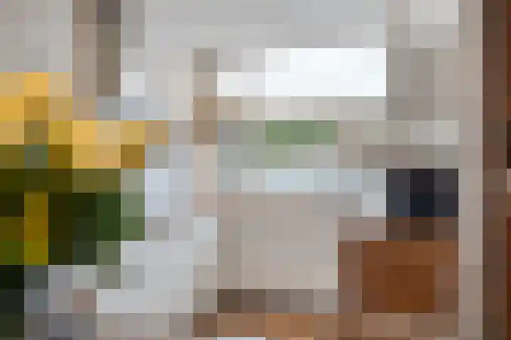 Wijnberg 25 Zoetermeer thumbnail 14