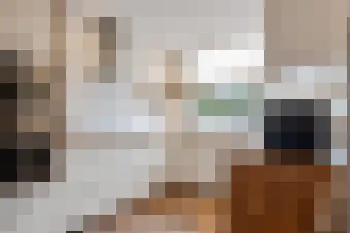 Wijnberg 25 Zoetermeer thumbnail 15