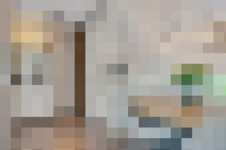 Wijnberg 25 Zoetermeer thumbnail 20