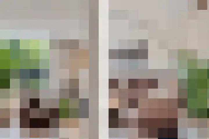 Wijnberg 25 Zoetermeer thumbnail 22
