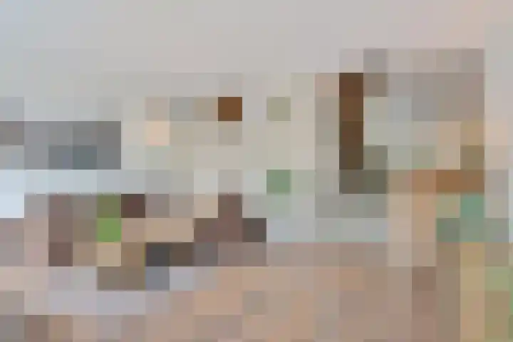 Wijnberg 25 Zoetermeer thumbnail 23