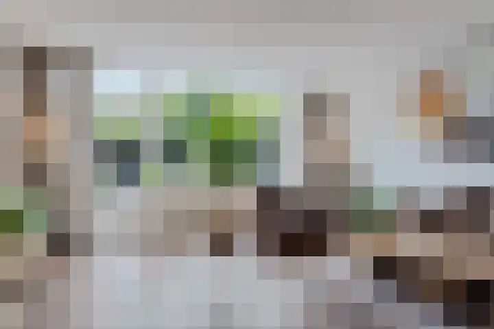 Wijnberg 25 Zoetermeer thumbnail 24