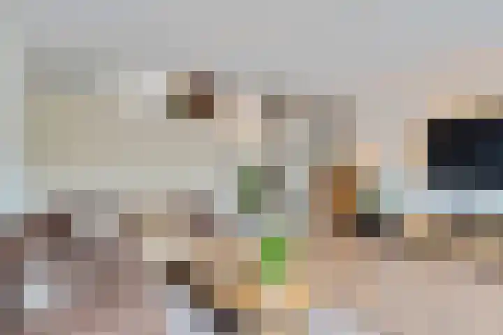 Wijnberg 25 Zoetermeer thumbnail 26