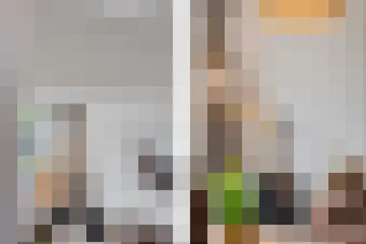 Wijnberg 25 Zoetermeer thumbnail 27