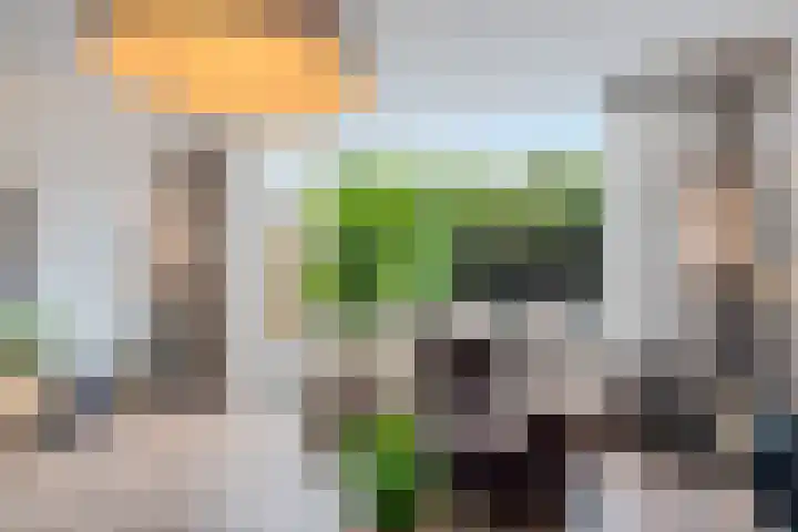 Wijnberg 25 Zoetermeer thumbnail 28