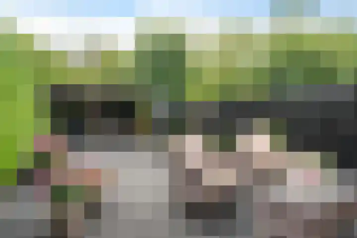Wijnberg 25 Zoetermeer thumbnail 29