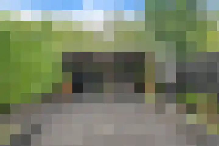 Wijnberg 25 Zoetermeer thumbnail 30