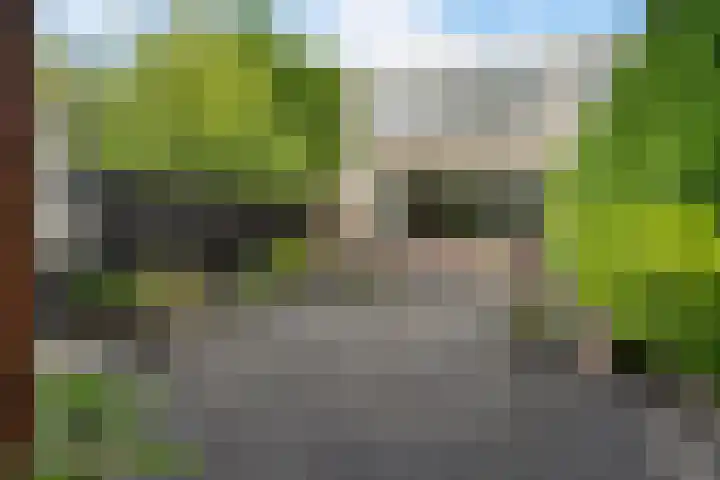 Wijnberg 25 Zoetermeer thumbnail 31