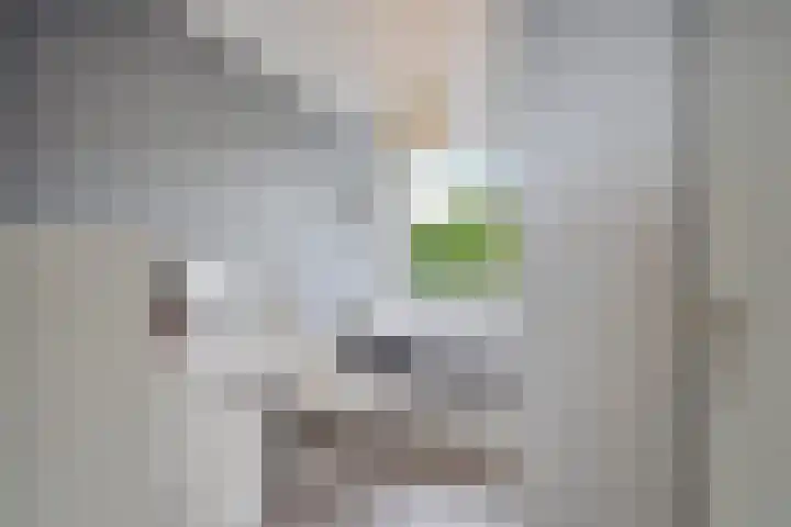 Wijnberg 25 Zoetermeer thumbnail 34
