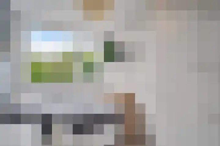 Wijnberg 25 Zoetermeer thumbnail 35