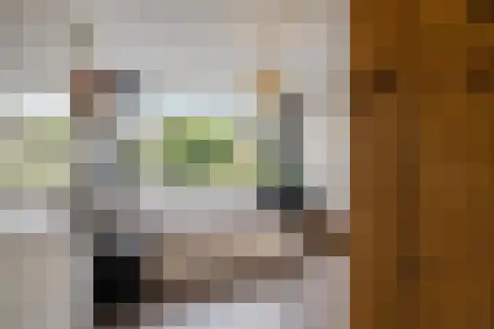 Wijnberg 25 Zoetermeer thumbnail 37