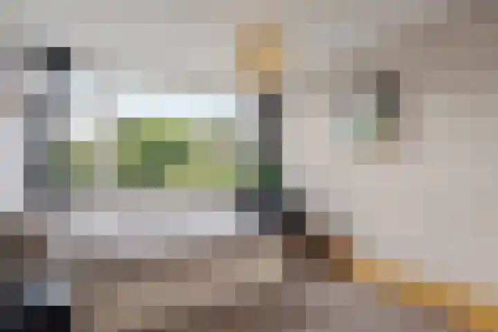 Wijnberg 25 Zoetermeer thumbnail 38