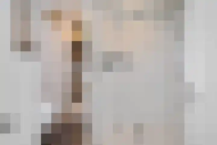 Wijnberg 25 Zoetermeer thumbnail 48