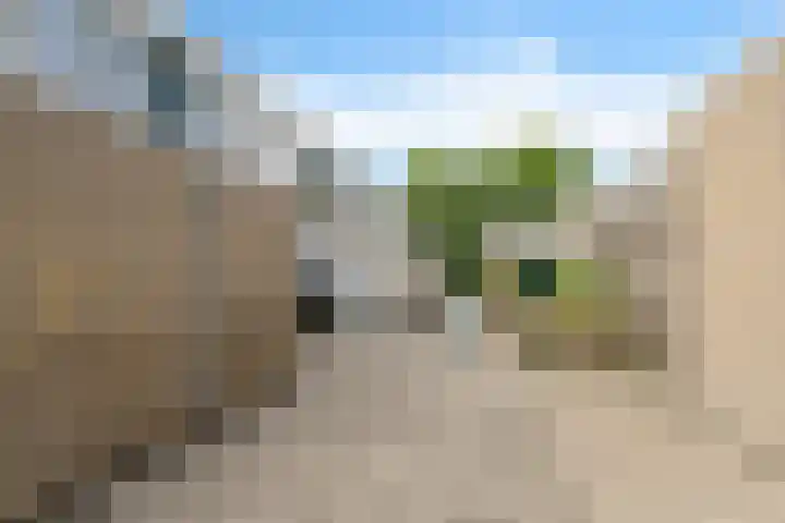 Wijnberg 25 Zoetermeer thumbnail 5
